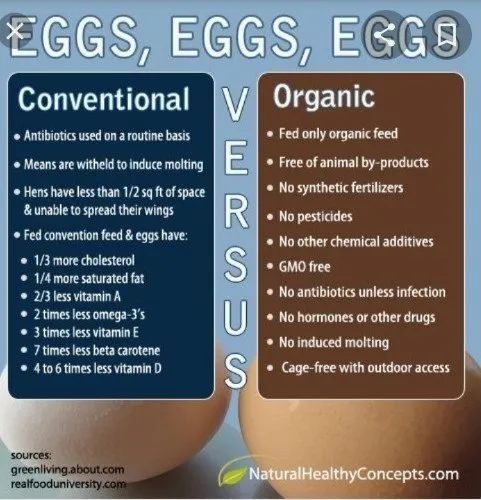 Organic Brown Eggs at best price in Pune by Swapn Enterprises | ID:  22496654597