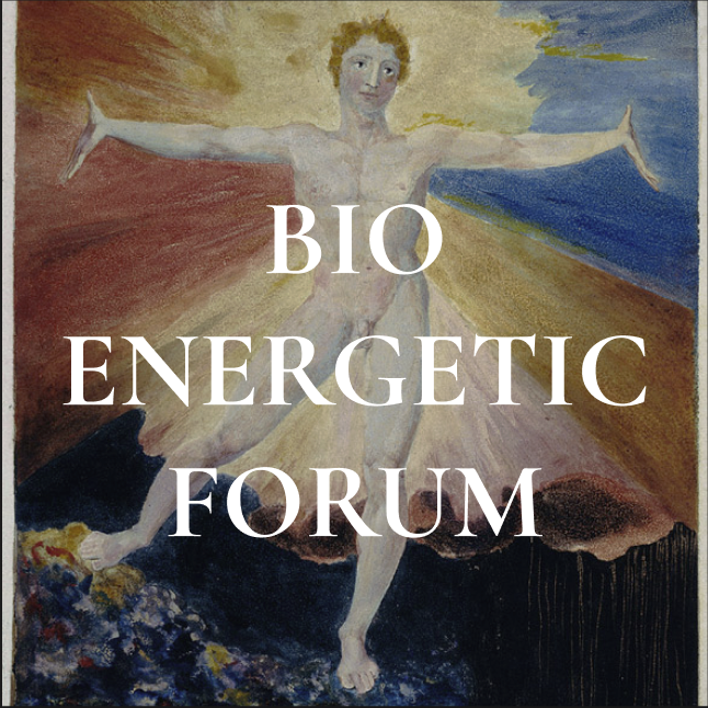 bioenergetic.forum
