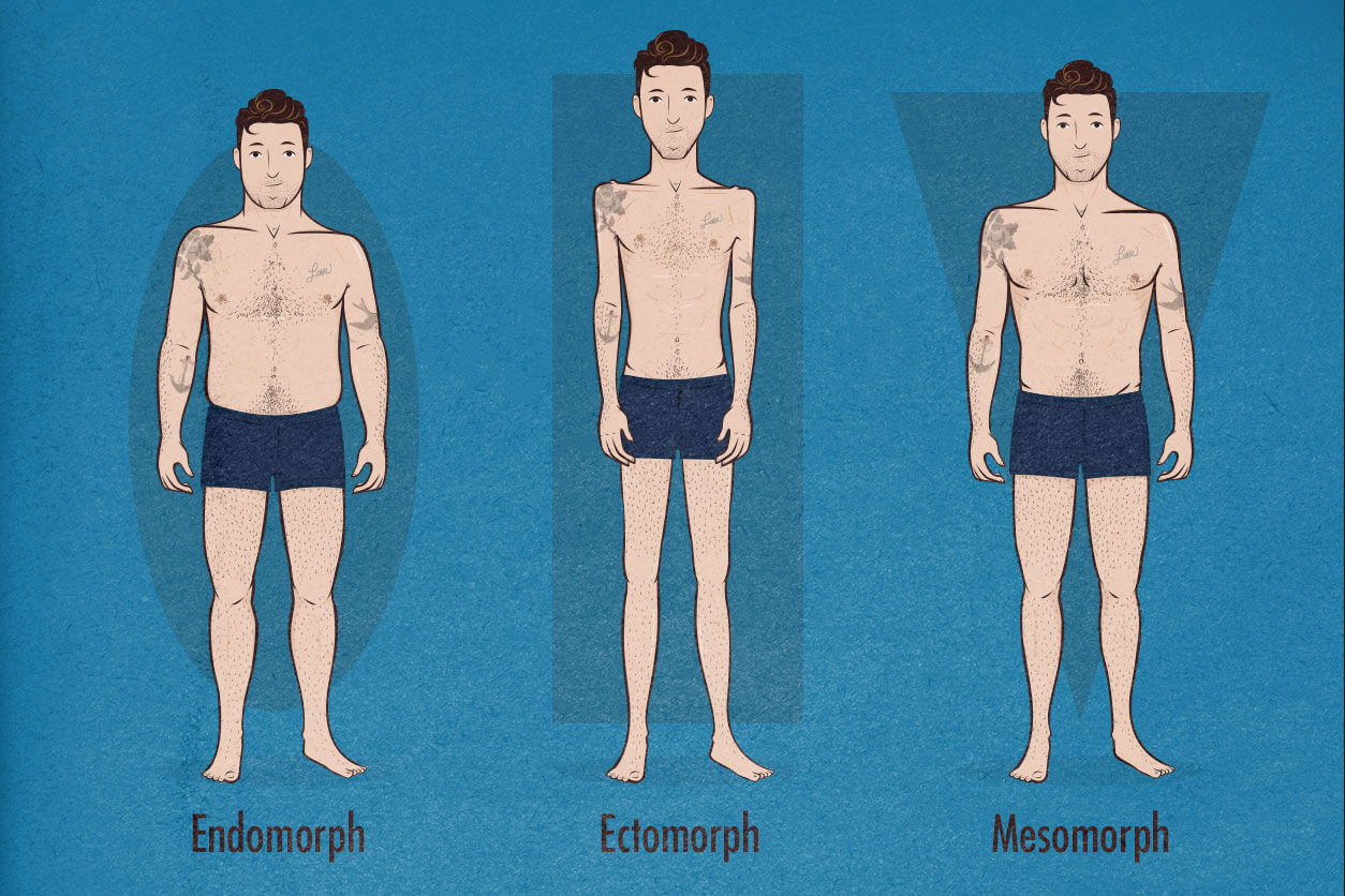 Wide Shoulders, Mesomorphs, Ectomorphs, and Endomorphs