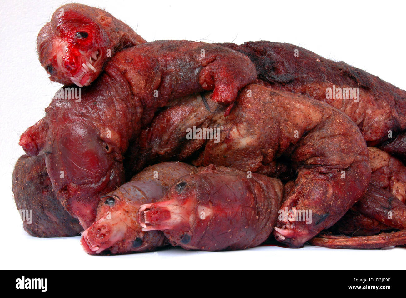 dpa-farm-minks-pictured-after-they-were-skinned-in-the-netherlands-D3JP9P.jpg