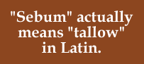 sebum-actually-means-tallow-in-latin.gif
