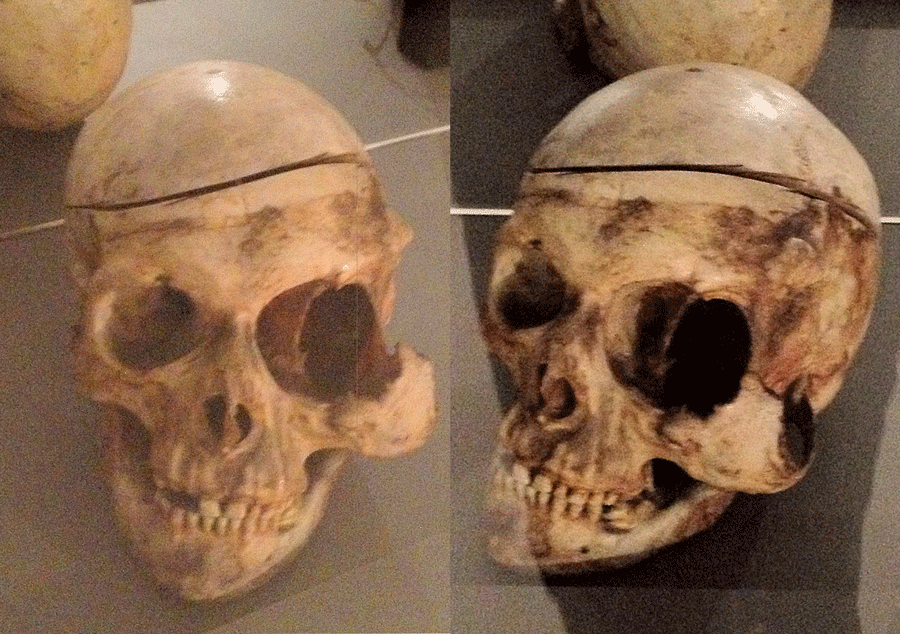 amsterdam-skull-small.gif