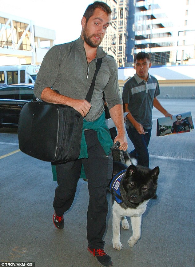 Henry Cavill holds on to his trusty service dog as he arrives for a flight  out of LAX | Daily Mail Online