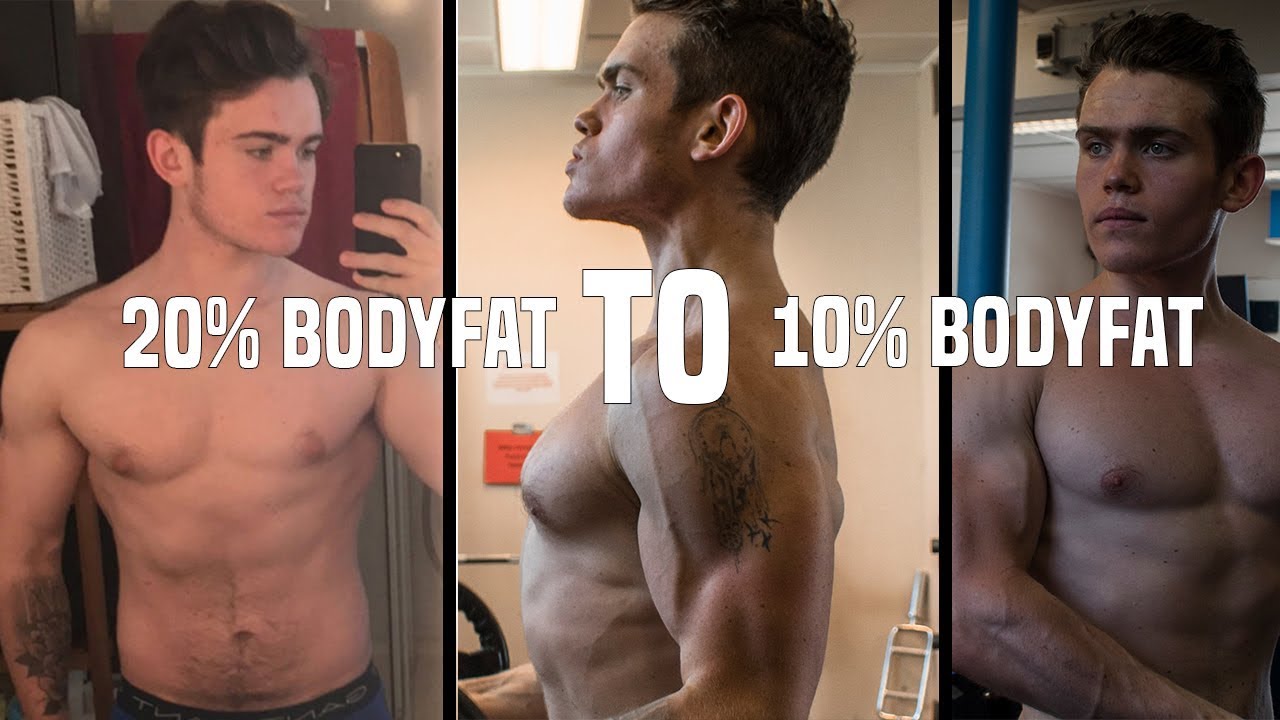Image result for 15% bodyu-fat to 8%
