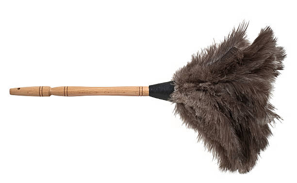 feather-duster-isolated.jpg