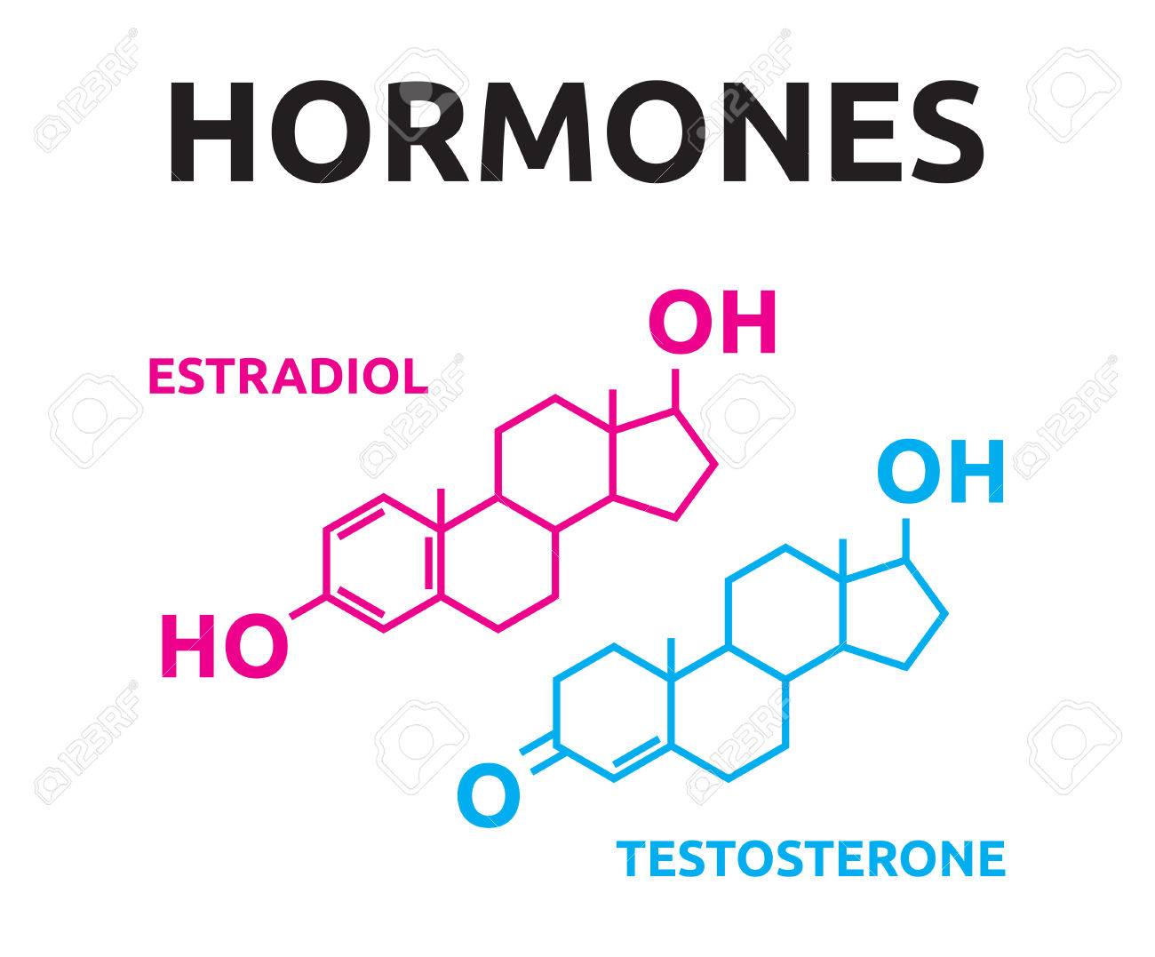 77751046-hormones-estradiol-and-testosterone.jpg