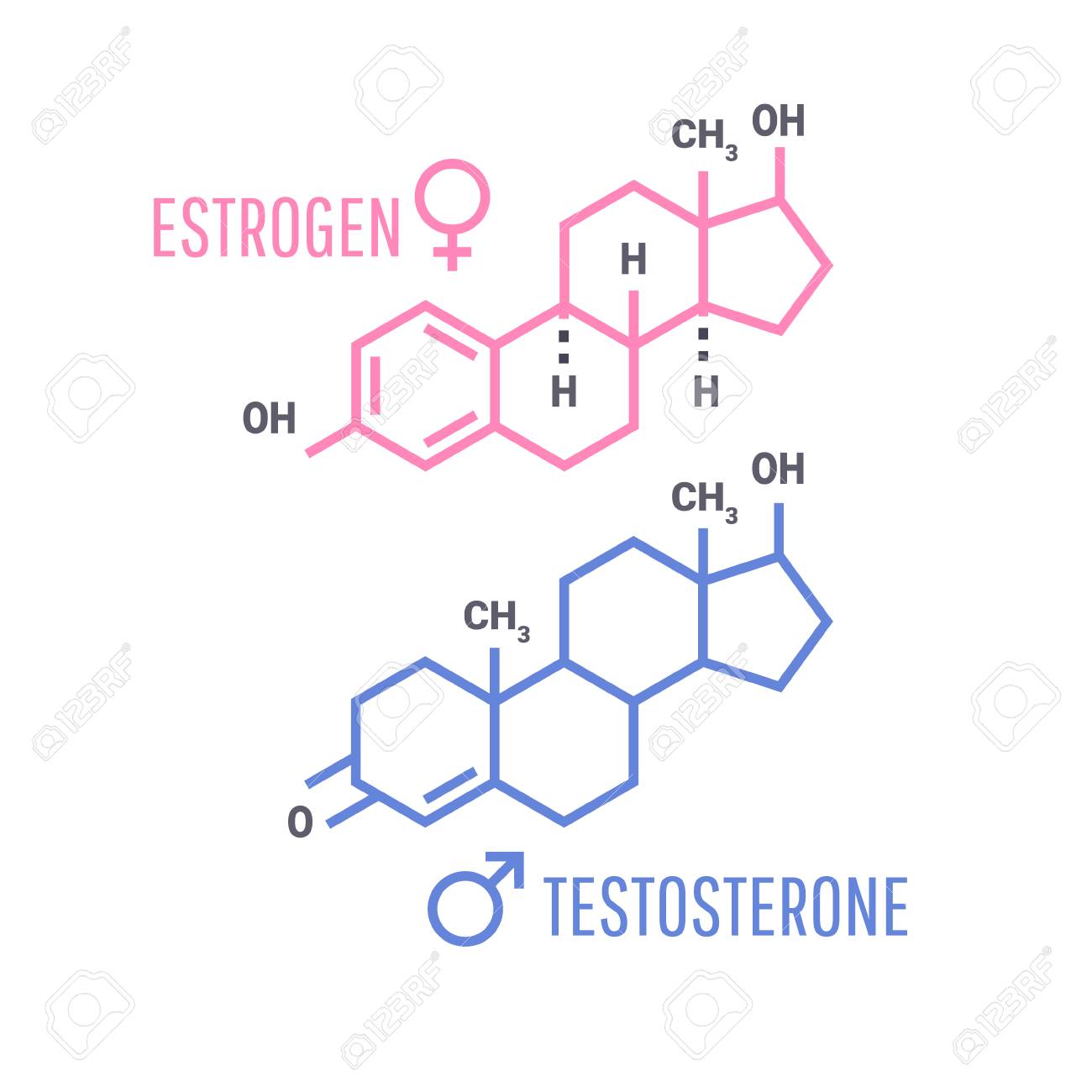107435192-hormones-molecular-formula-estrogen-and-testosterone-hormones-symbol.jpg