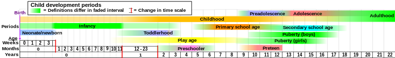 800px-Child_development_stages.svg.png